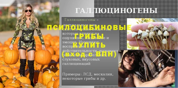 ECSTASY Бронницы