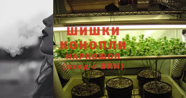 гидра Бугульма