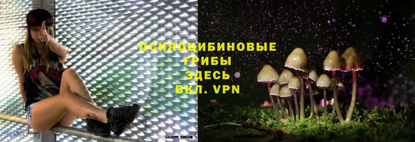 ECSTASY Бронницы