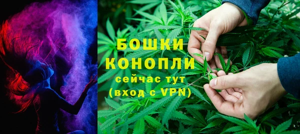 ECSTASY Бронницы
