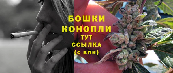 гидра Бугульма
