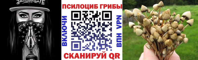 Псилоцибиновые грибы Psilocybe  что такое наркотик  kraken сайт  Сретенск 